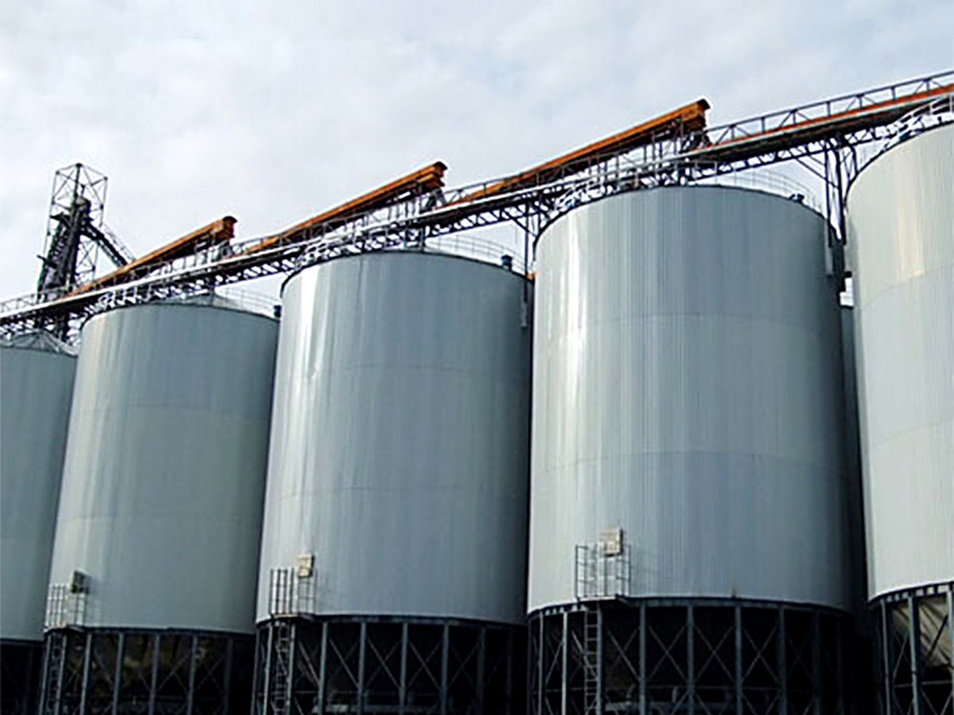 Cone-bottom steel silo cluster with conveying gantry at a paddy rice storage facility