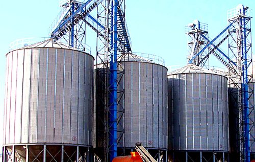 Feed Mill and Poultry Farm Silo Projects: From 100T Bins to Integrated Storage