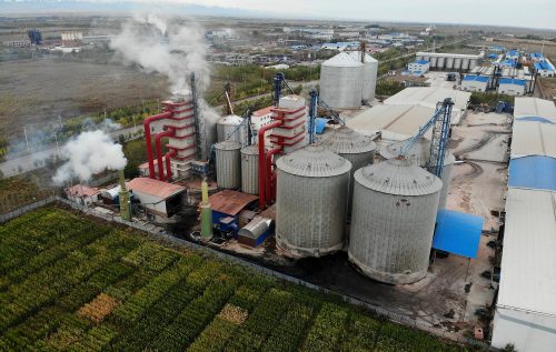 Steel Silos vs Flat Warehouses: Grain Depot Modernization